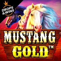 Mustang Gold